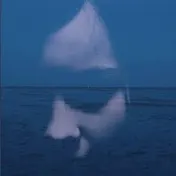 Omslag van Voyage 31