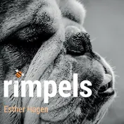 Omslag van Rimpels