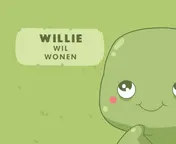 Omslag van Willie Wil Wonen