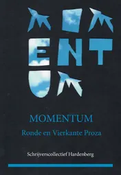 Omslag van Momentum