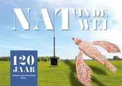 Omslag van Nat in de wei