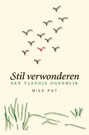 Omslag van Stil verwonderen