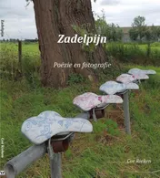 Omslag van Zadelpijn