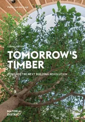 Omslag van Tomorrow's Timber - LUNING edition