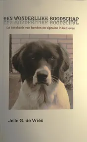 Omslag van Een wonderlijke boodschap