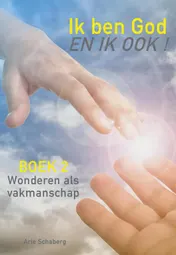 Omslag van 2 Wonderen verichten als vakmanschap