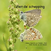Omslag van Vier de schepping
