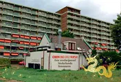 Omslag van Chin.ind.spec.rest.
