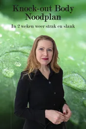 Omslag van Knock-out Body Noodplan