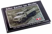 Omslag van Alte Laster im Grube