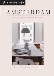 Omslag van A glimpse into Amsterdam