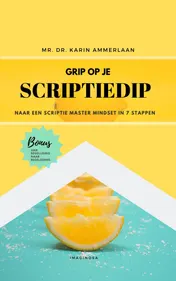 Omslag van GRIP OP JE SCRIPTIEDIP