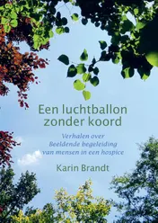Omslag van Een luchtballon zonder koord
