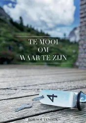 Omslag van Te mooi om waar te zijn