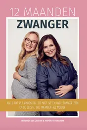 Omslag van 12 Maanden Zwanger