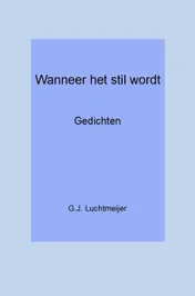 Omslag van Wanneer het stil wordt