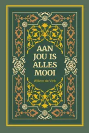 Omslag van Aan jou is alles mooi