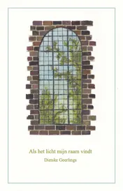 Omslag van Als het licht mijn raam vindt
