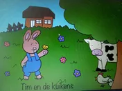 Omslag van Tim en de kuikens