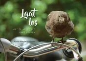 Omslag van Laat los wat je niet vast kunt houden