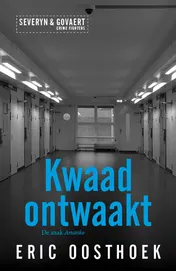 Omslag van Kwaad ontwaakt