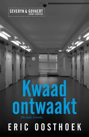 Omslag van Kwaad ontwaakt