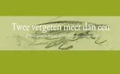 Omslag van Twee vergeten meer dan een