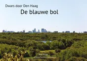 Omslag van De blauwe bol