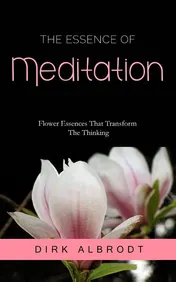 Omslag van The Essence of Meditation