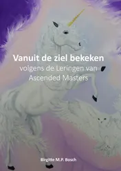Omslag van Vanuit de ziel bekeken