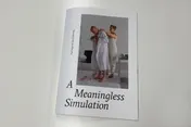 Omslag van A Meaningless Simulation
