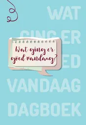 Omslag van Wat ging er goed vandaag?