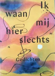 Omslag van Ik waan mij hier slechts