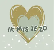 Omslag van Ik mis je zo