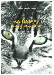 Omslag van Kattentaal