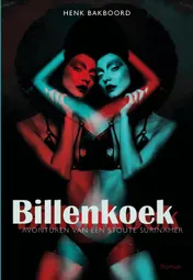 Omslag van Billenkoek