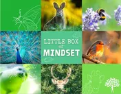 Omslag van Little Box of Mindset