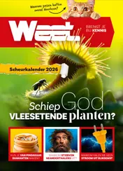 Omslag van Weet Scheurkalender 2026