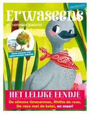 Omslag van Het lelijke eendje en 7 andere verhalen