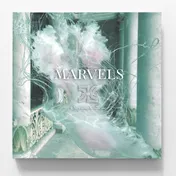 Omslag van Marvels