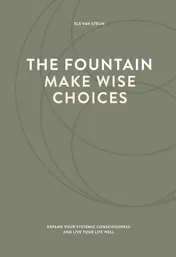 Omslag van The fountain, make wise choices
