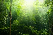 Omslag van Combinatiepakket van digitale diagnostische toetsen voor 'Natuur en Techniek', 'Aardrijkskunde', 'Geschiedenis', om te testen of je de materie beheerst voor de toelatingstoets van de Pabo