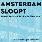 Omslag van Amsterdam sloopt