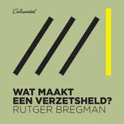 Omslag van Wat maakt een verzetsheld?