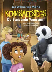 Omslag van De Stuivende Woestenij