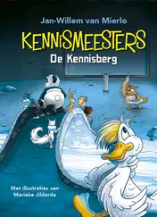 Omslag van De Kennisberg