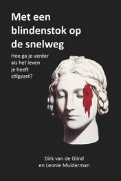 Omslag van Met een blindenstok op de snelweg