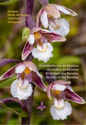 Omslag van Orchideeën van de Benelux