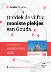 Omslag van Goudse straatjes