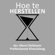 Omslag van Hoe te HERSTELLEN